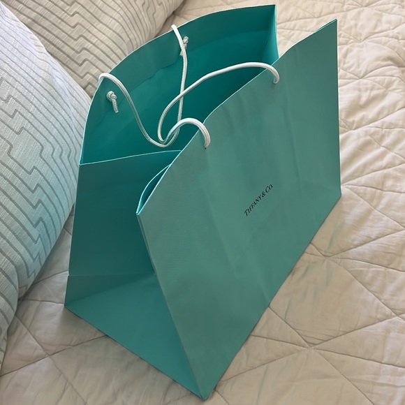 Tiffany & Company Shopping Gift Bag tote - Picture 3 of 16